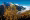 Aletsch (Large).jpg