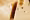 Cover Swiss Story_1.png