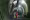 Faido_Motor_laser_driven_heading_surveying (Large).jpg
