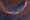 coverpicture_1.png