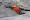 Ueli Steck climbing the North Face of the Eiger – start