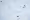 51822850394_c79147640f_o.jpg