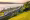 Giruno_qf_93380-min.jpg
