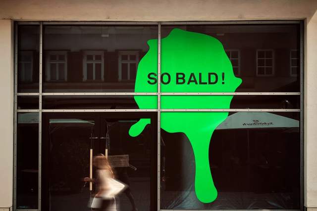 so bald 2_0.jpg
