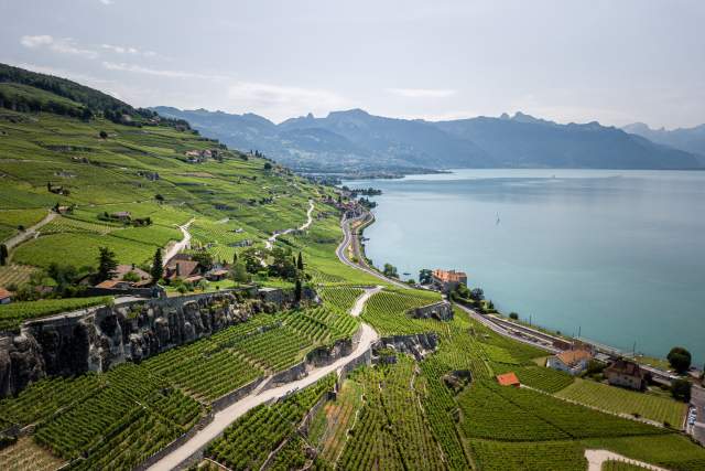 Montreux-Chillon-Lavaux-DJI_0474.jpg