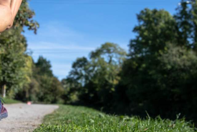 hos.org cover image (2).png