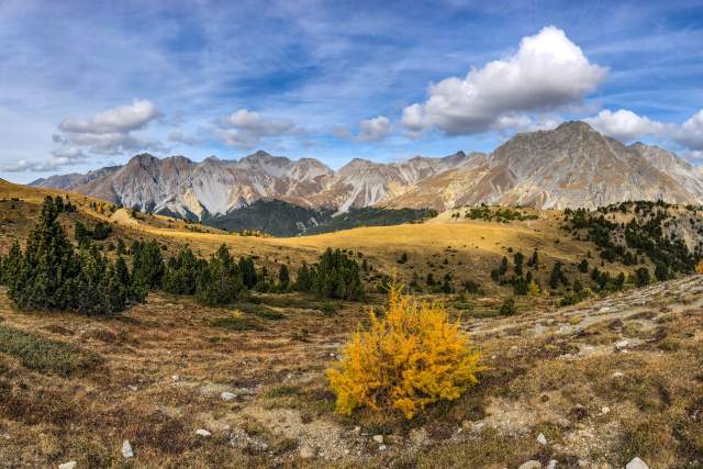 Swiss national park