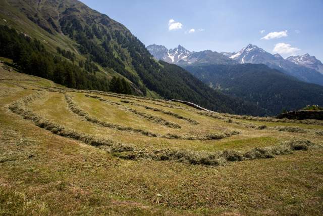 Valposchiavo - haymaking