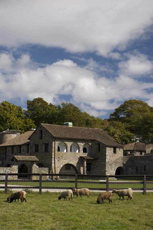 swiss village and CVM sheep.jpg