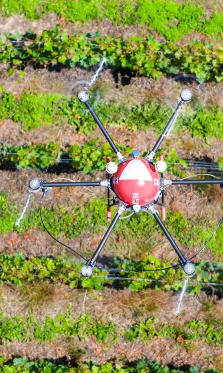 Crop-spraying drone