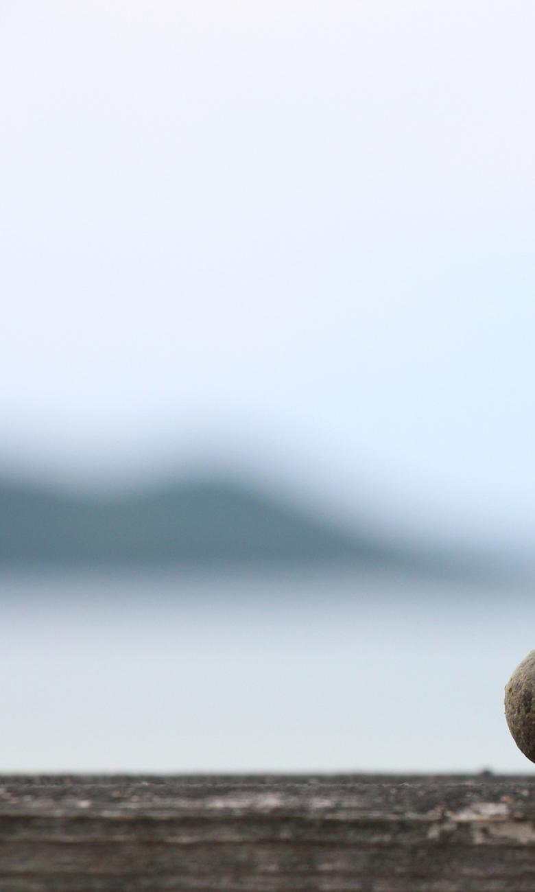 Photo credit: woodleywonderworks via Visual hunt / CC BY