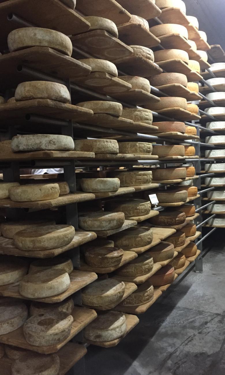 Bertrand Gabioud and Yann Sutterlin produce World Championship-winning cheese