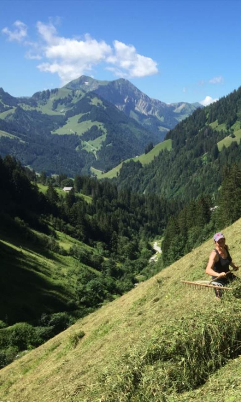 Wild hay © Luzern Tourismus