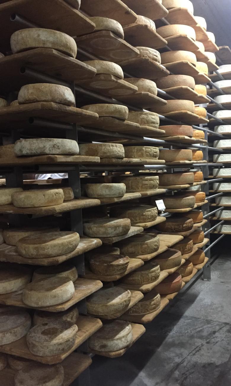 Bertrand Gabioud and Yann Sutterlin produce World Championship-winning cheese