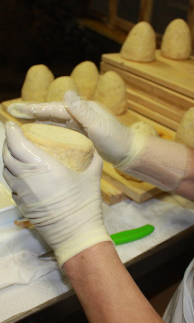 The Zincarlin dala Vall da Mücc are rubbed with white wine every day.