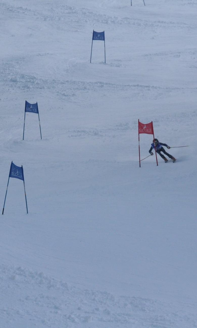 Ski slalom track
