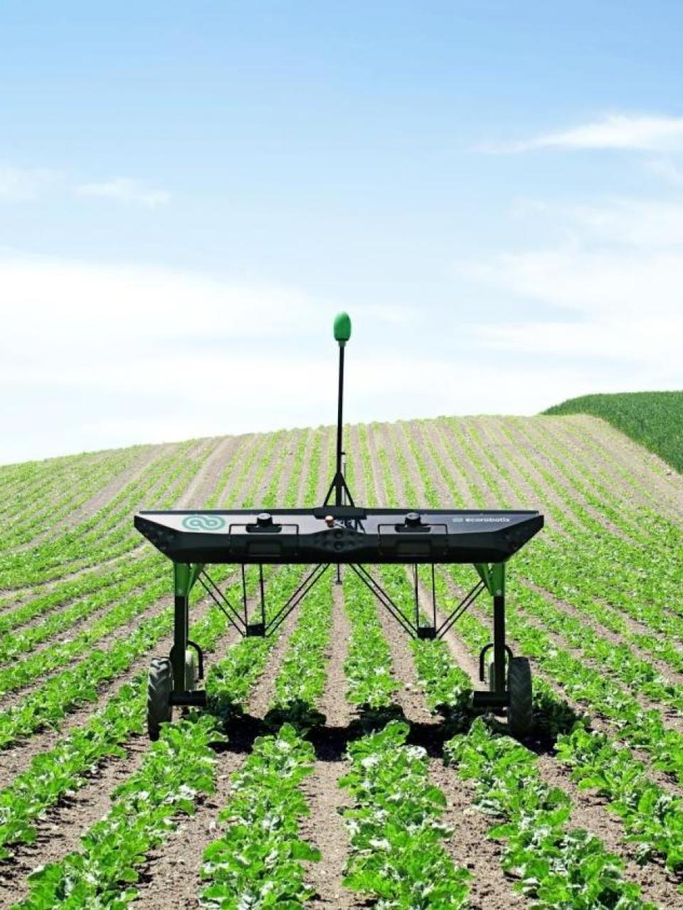 90% less herbicide thanks to the robot’s targeted weeding © ecoRobotix 