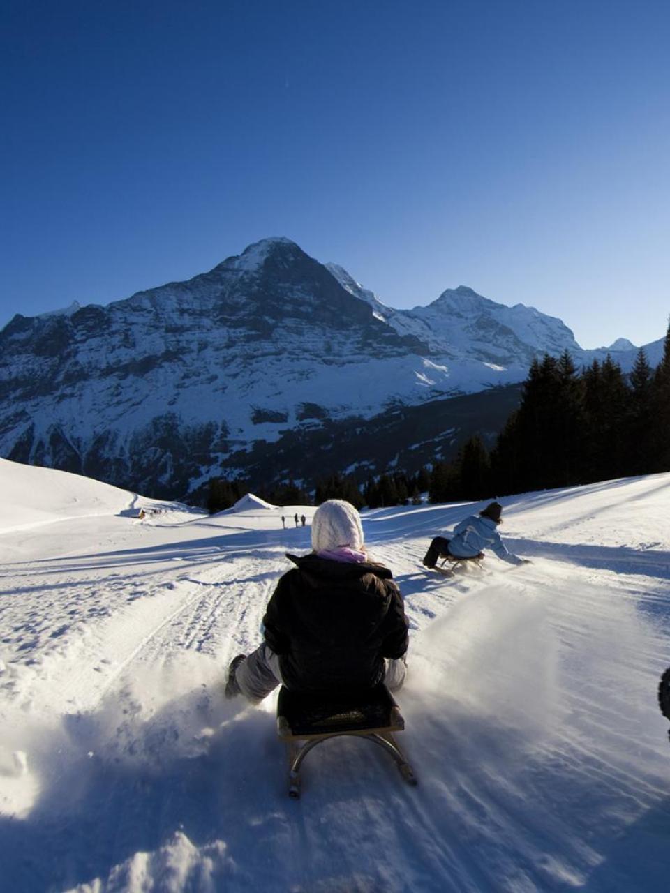 Sledging in Grindelwald © grindelwaldbus – David Birri