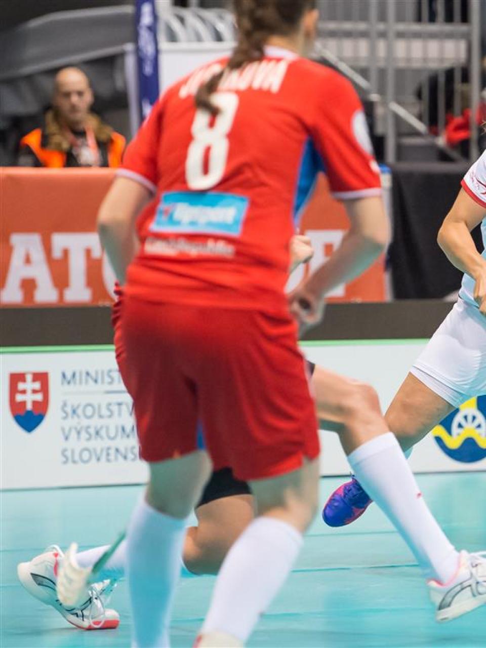 Il Campionato mondiale femminile si disputerà nel 2019 a Neuchâtel.