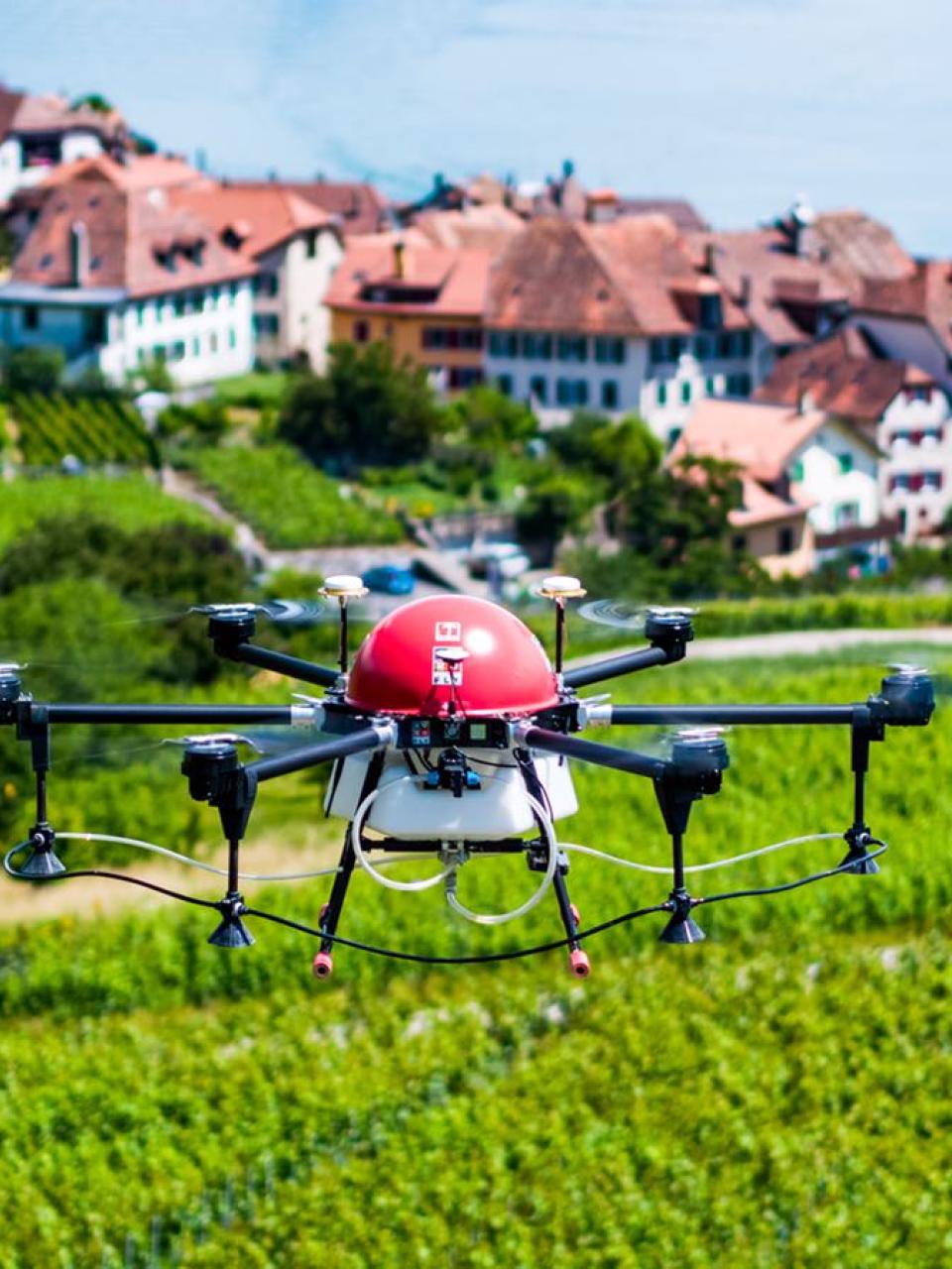 Crop-spraying drone flying above Swiss vineyard