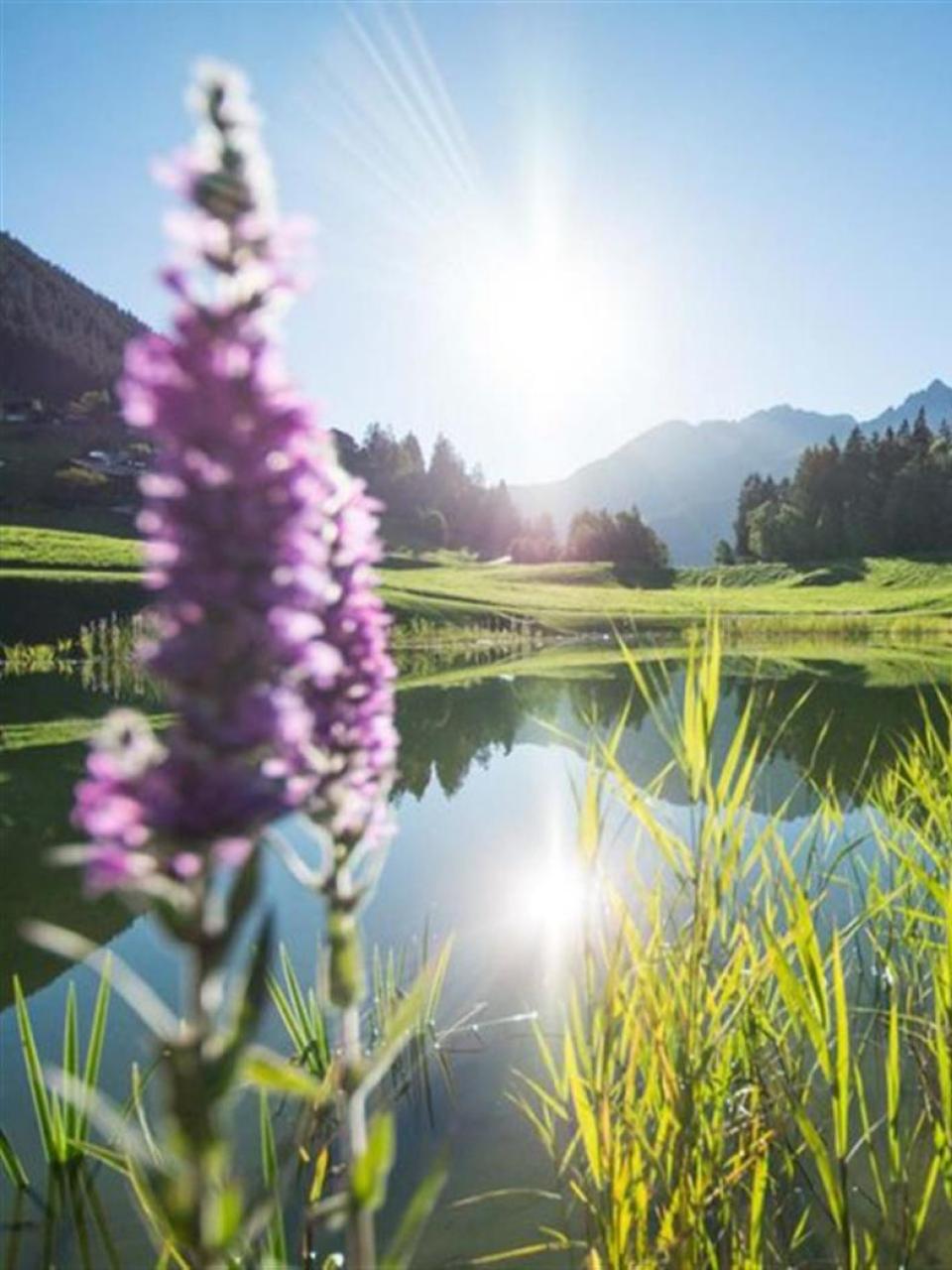 Lag da Claus Surrein