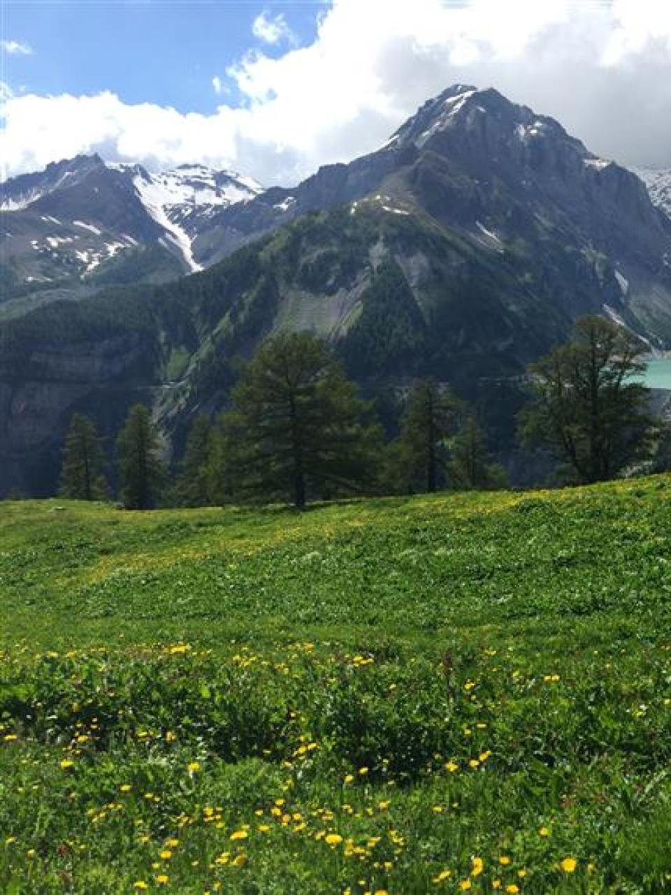 The Muldry family ‘alpage’ lies above the Rawyl Dam and Zeuzier Lake near Anzère in the canton of Valais