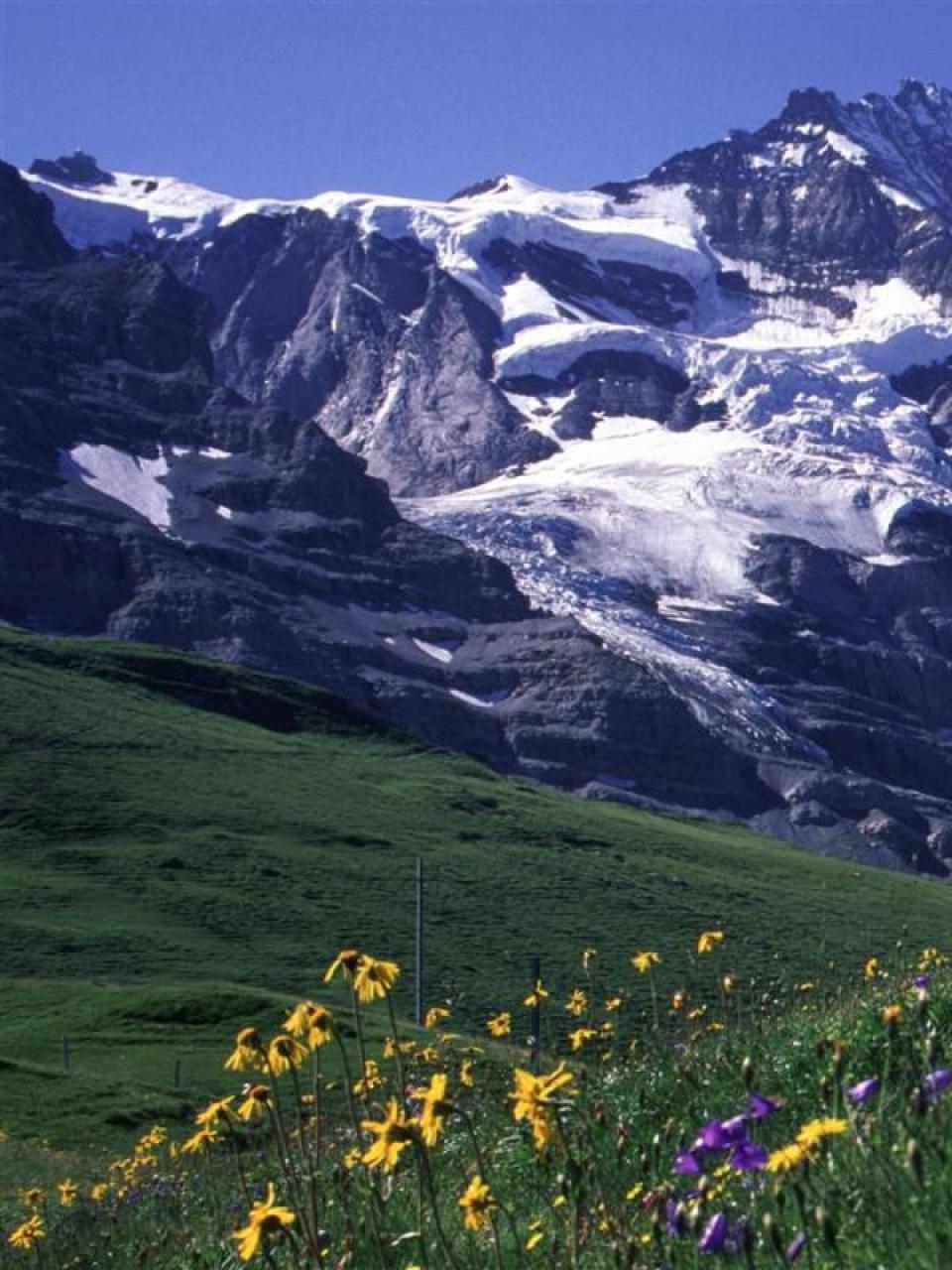 Bollywood und die Schweiz