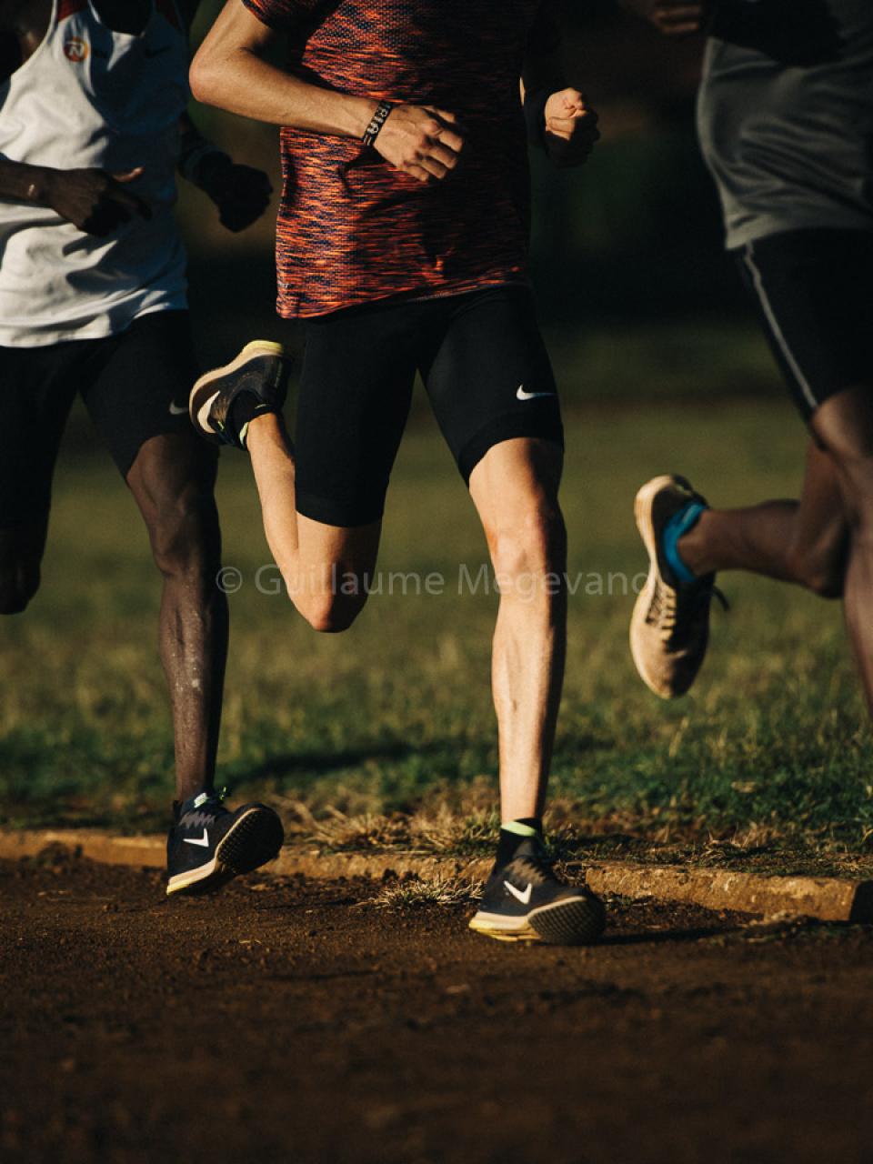 copyright Guillaume Megevand 