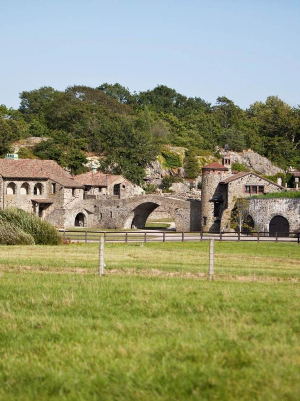 Swiss village over pasture