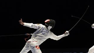 Fencing
