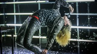 silver, marie christine hominal