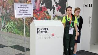 welcome in the swiss pavilion